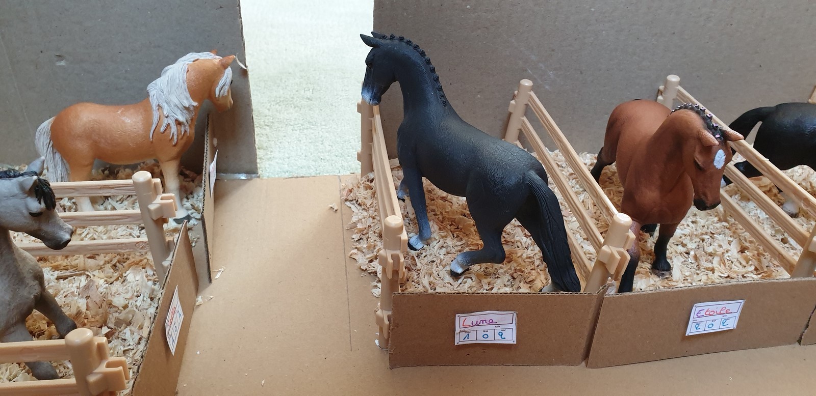 La grande écurie deux nouvelles arrivées Bienvenue à Lune